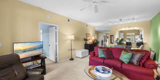 Pelican Landing in Bonita Springs Gallery 14