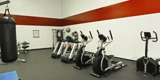 Morgan Park Gallery 4