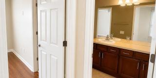 10222 PINK PALMATA COURT Gallery 19