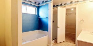 7326 Tamburo Gallery 25