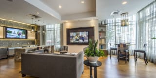 Park Lane Seaport Gallery 12