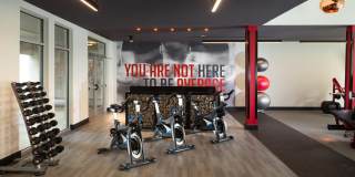 Gallery at Domain Gallery 43