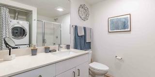 Zig Apartments Gallery 4