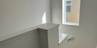 6836 Trellis Vine Loop Gallery 22