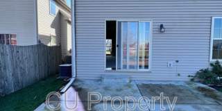 14 Parsley - 1 Gallery 3