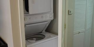 1015 Hollins Street Gallery 7