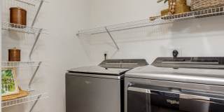 The Banks at Rivergate Gallery 18