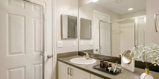 Windsor Coral Springs Gallery 13