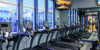 Sheldon Park Gallery 10