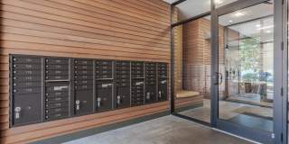Pinnex Gallery 8