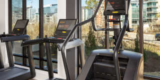 Novel Edgehill Gallery 38