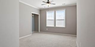 24636 WOOLLY MAMMOTH Terrace Gallery 32
