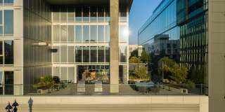 The Merian Gallery 4