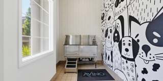 Avino Gallery 57