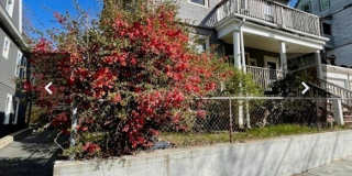 14 Dow St. unit: 2 Gallery 1