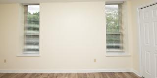 Chestnut Hill East Gallery 41