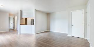 The Dawson Gallery 7