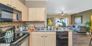 Montage at Pecos Ranch Gallery 11