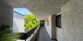 Prime Pasadena Condo Gallery 30