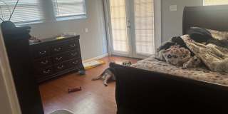 Charming 3BR House in New Orleans Gallery 15