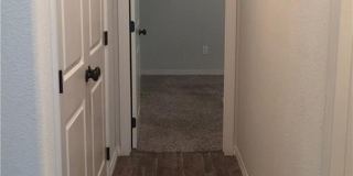 109 Ehlinger Drive Gallery 5