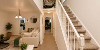 25 Madrone Place Gallery 7