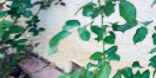 5246 Calderon Road Gallery 29