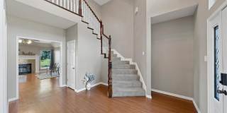 8617 Jonquil Gallery 3