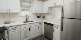 Hidden Colony Gallery 33