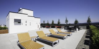 Assembly118 Gallery 30