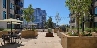 The Lafayette Gallery 48