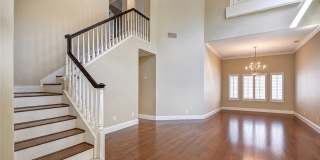 7 Belcanto Gallery 1