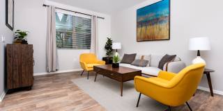 Paragon at Old Town Gallery 28