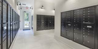 Folksong Flowery Branch Gallery 24