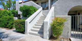 1150 E Amado Road Gallery 4