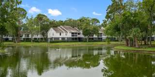 Lake Forest Gallery 24