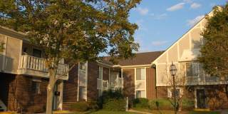 North Willow Gallery 1