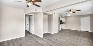 605 W Hutchison Gallery 17