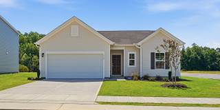 BRAND NEW RANCH HOME with 3 bedrooms and 2 baths Gallery 1