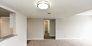 The Palmer Gallery 7