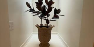 *DREAM LOCATION* 6BR Completely Renovated Duplex Gallery 24