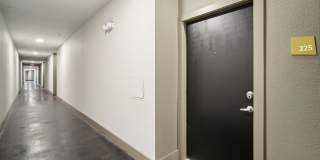 COLE COLE Gallery 44