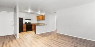 Agave Courtyard Gallery 10