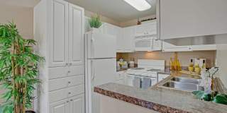 Castlepark Gallery 8