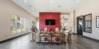 Anatole at City View Gallery 17