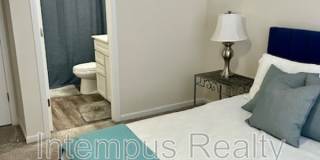 260 Winter Shadow Loop Gallery 40