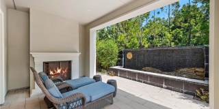 102 Orchid Gallery 12