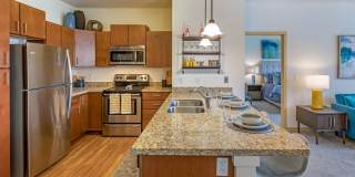 The Enclave Luxury Apartments Gallery 3