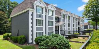 The Harrison Gallery 15