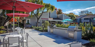 The Alexandar Gallery 20